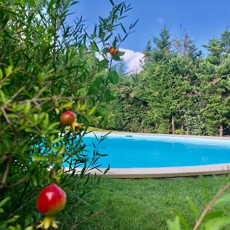 Abbaiola By Klabhouse Villa *